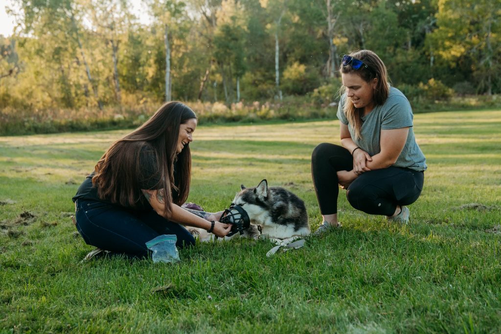 Dog training session at Core K9 Training in Richmond KY, teaching muzzle conditioning during private lessons for a husky