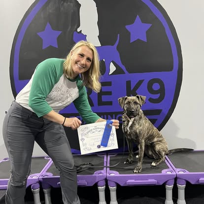 a dog passing group class training with core k9 training