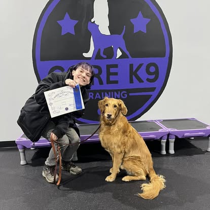 a dog passing group class training with core k9 training