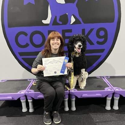 a dog passing group class training with core k9 training