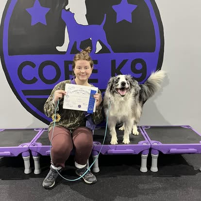 a dog passing group class training with core k9 training
