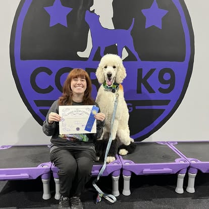 a dog passing group class training with core k9 training