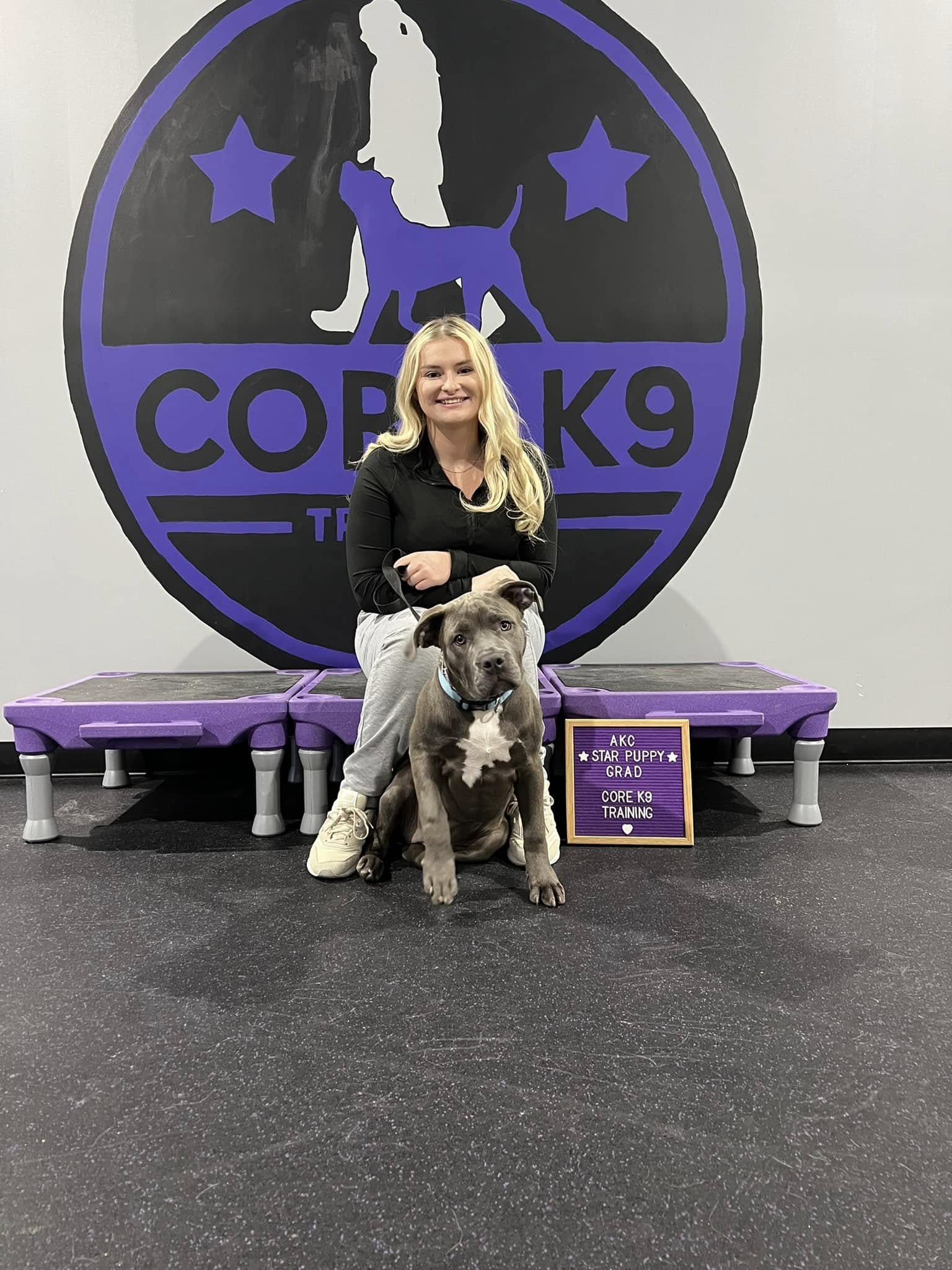 a dog passing group class training with core k9 training