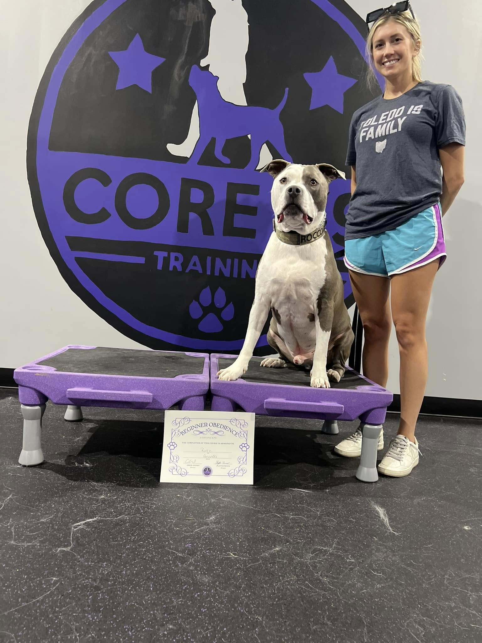 a dog passing group class training with core k9 training