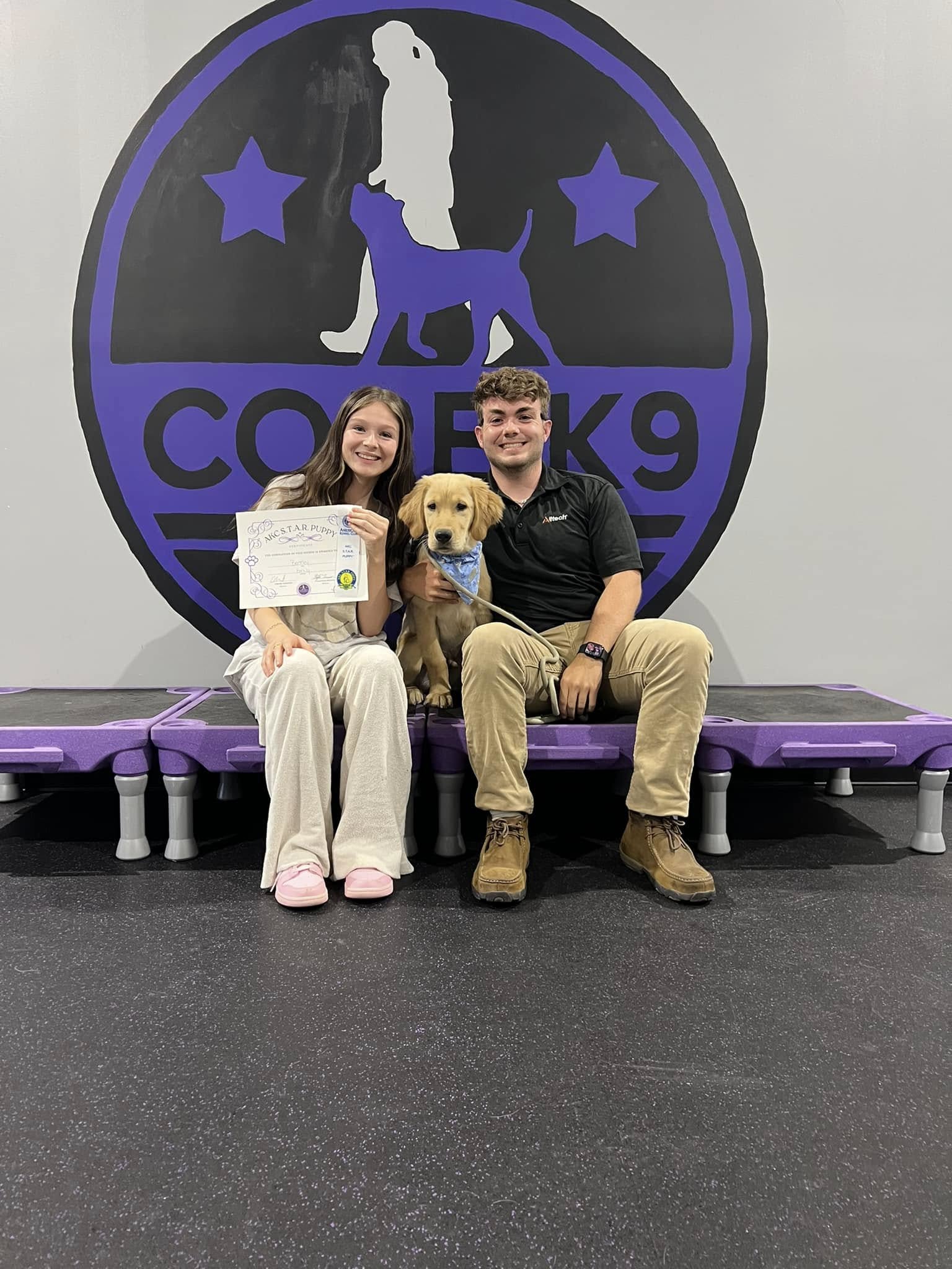 a dog passing group class training with core k9 training