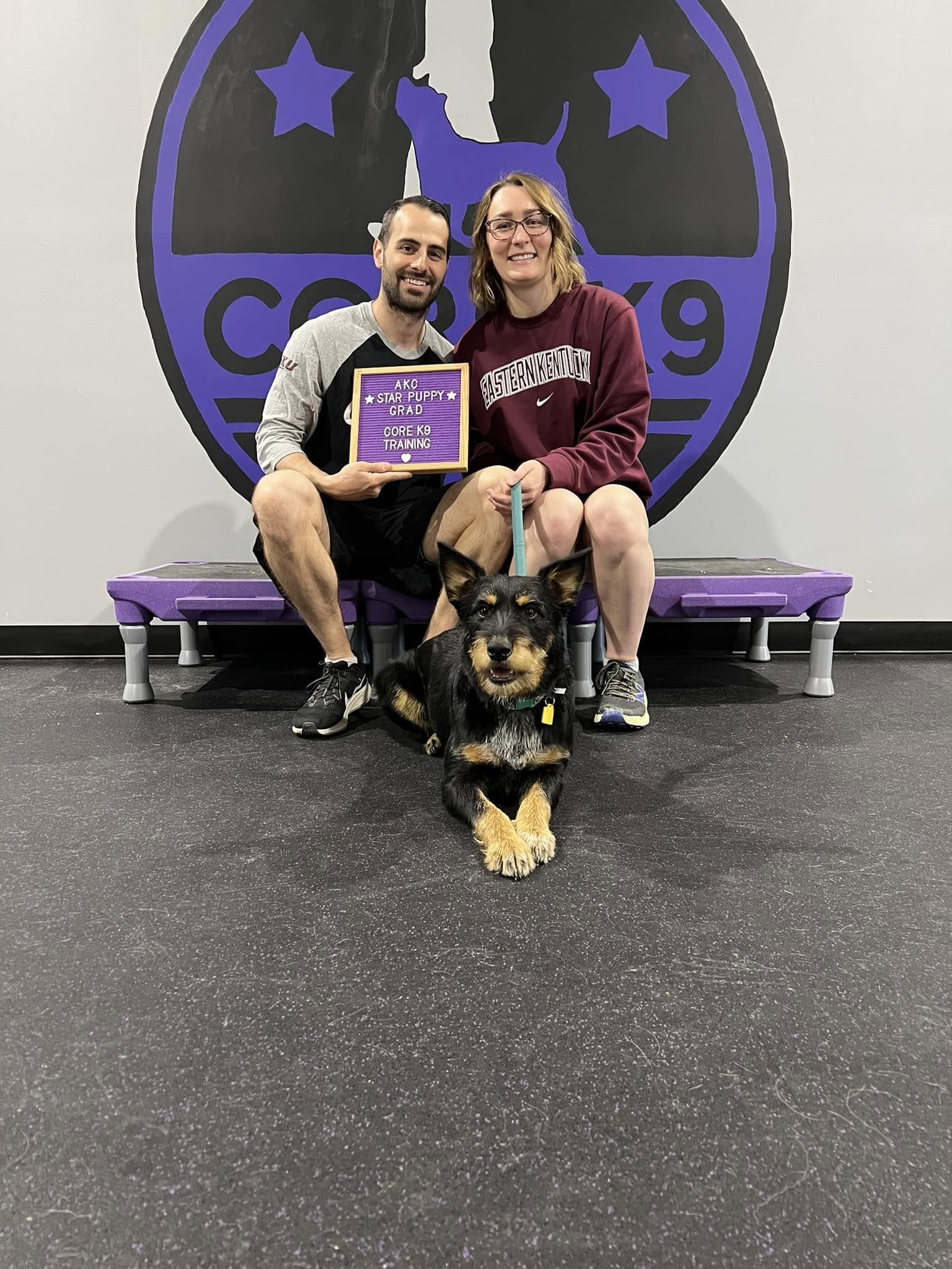 a dog passing group class training with core k9 training