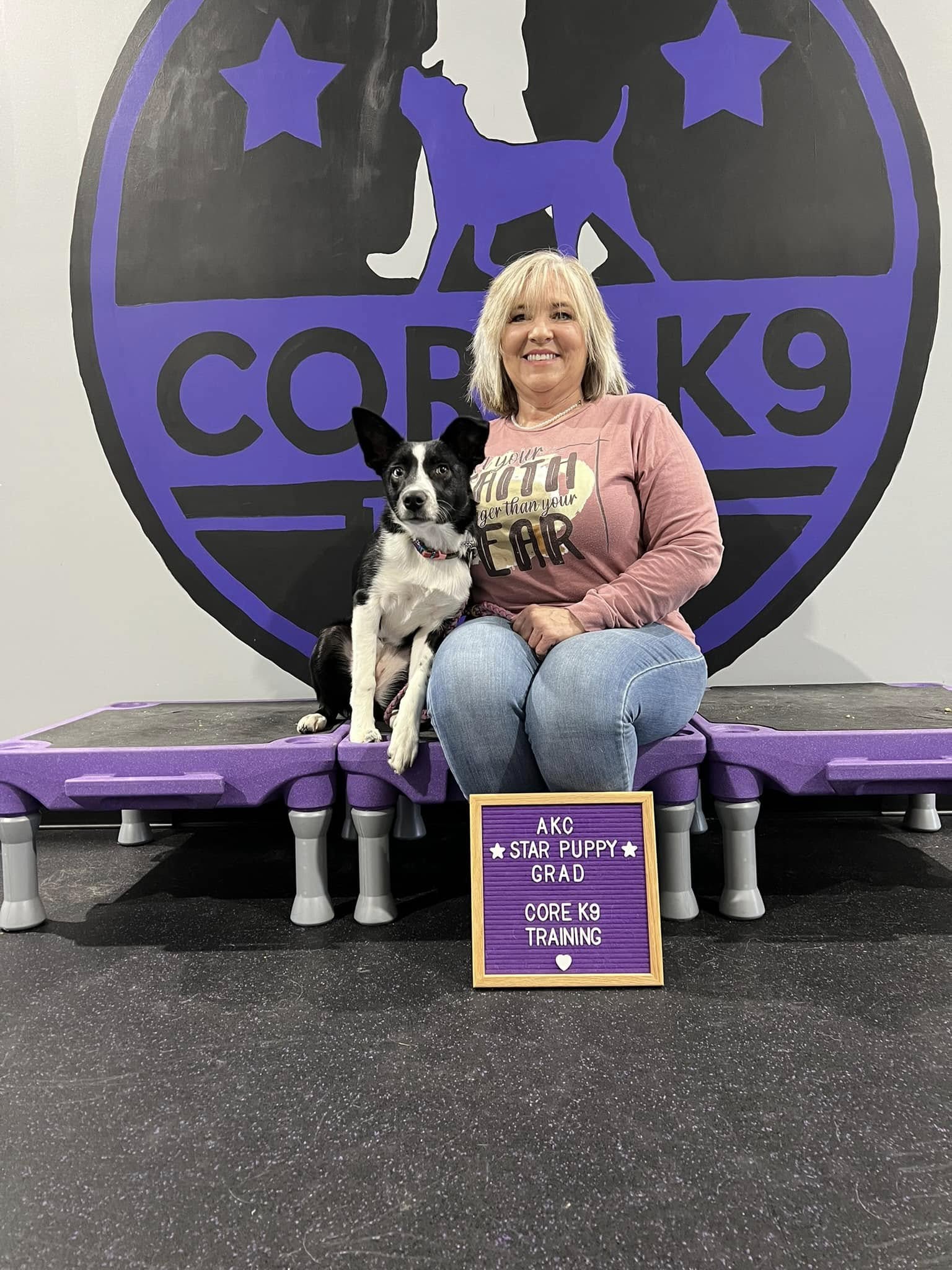 a dog passing group class training with core k9 training