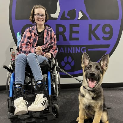 a dog passing group class training with core k9 training