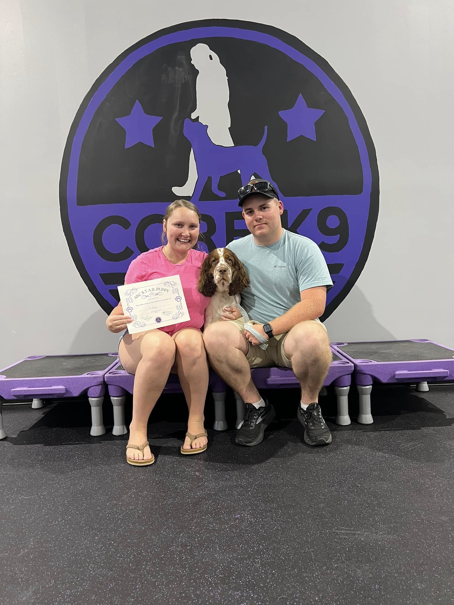 a dog passing group class training with core k9 training