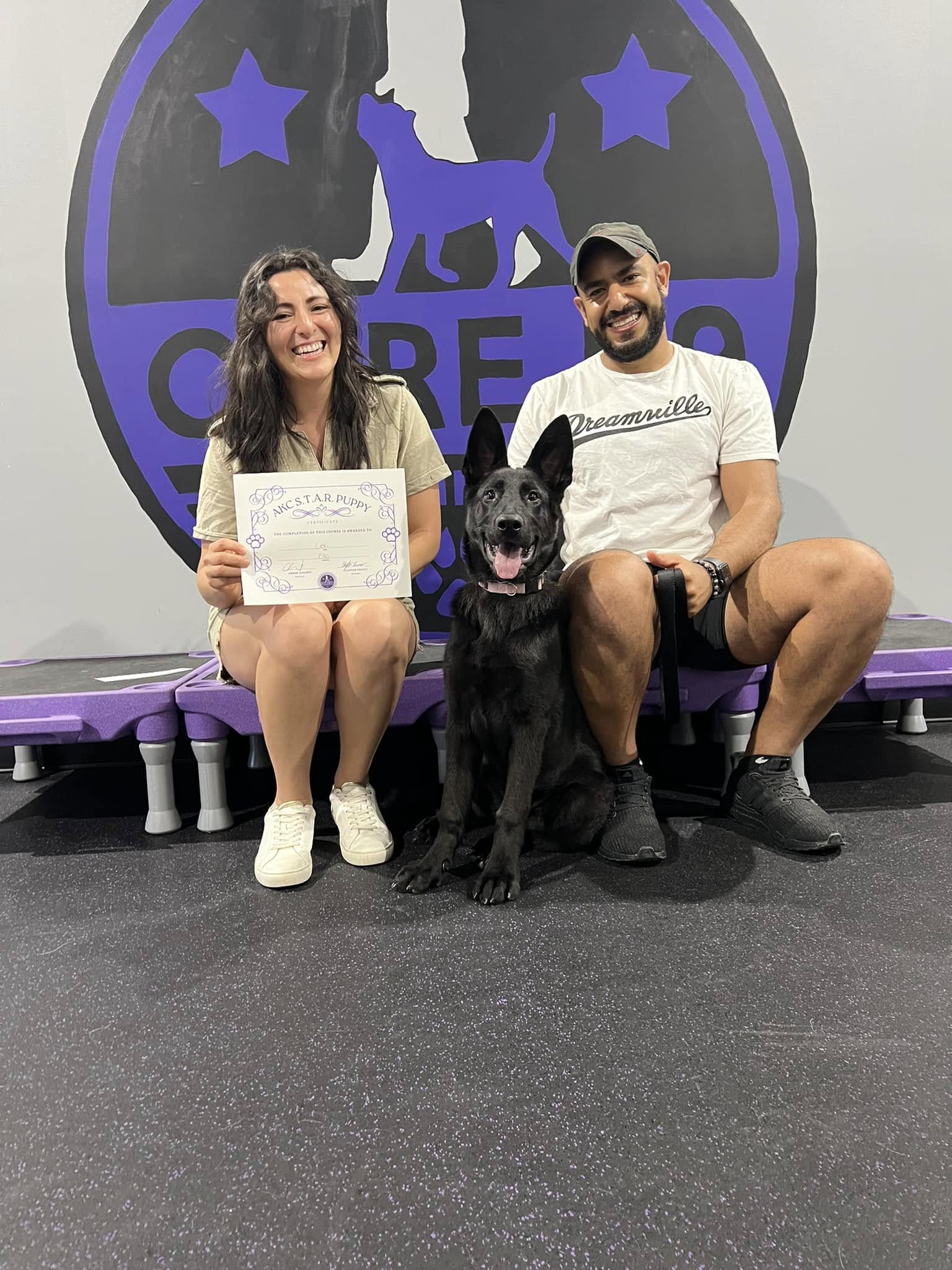 a dog passing group class training with core k9 training