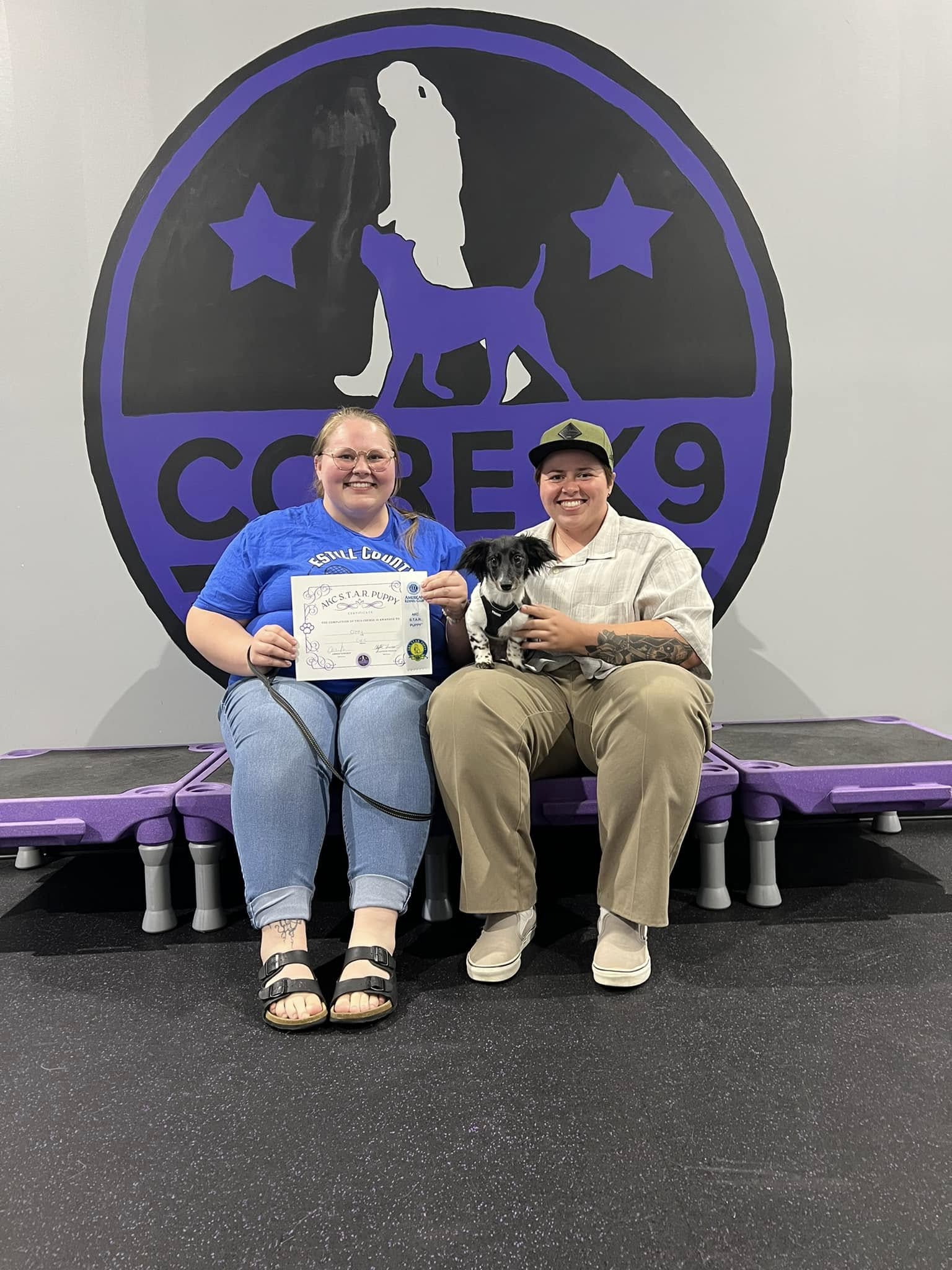 a dog passing group class training with core k9 training