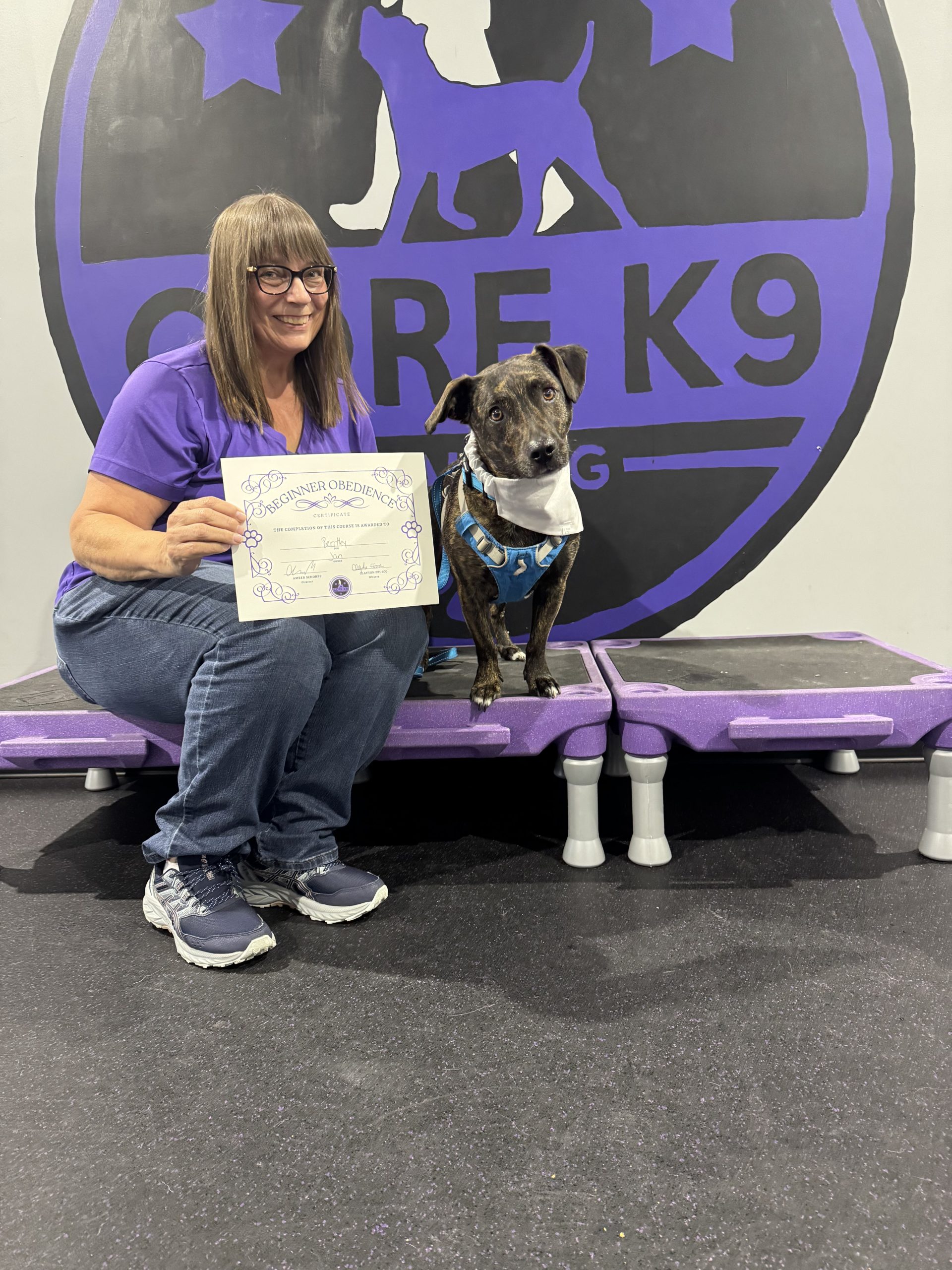 a dog passes beginner obedience with core k9 training