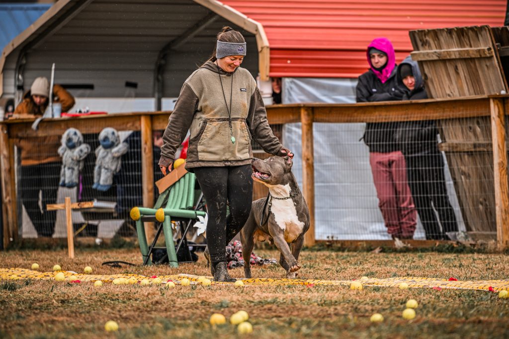core k9 trainer doing obedience work during a dog trial