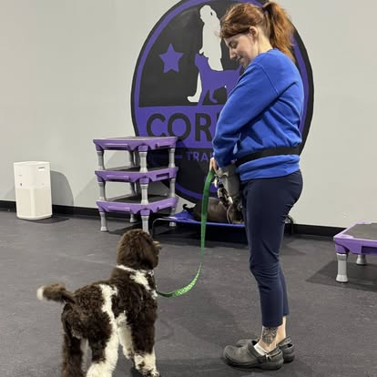 puppy training with core k9 training