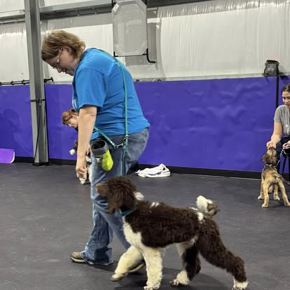 puppy training with core k9 training